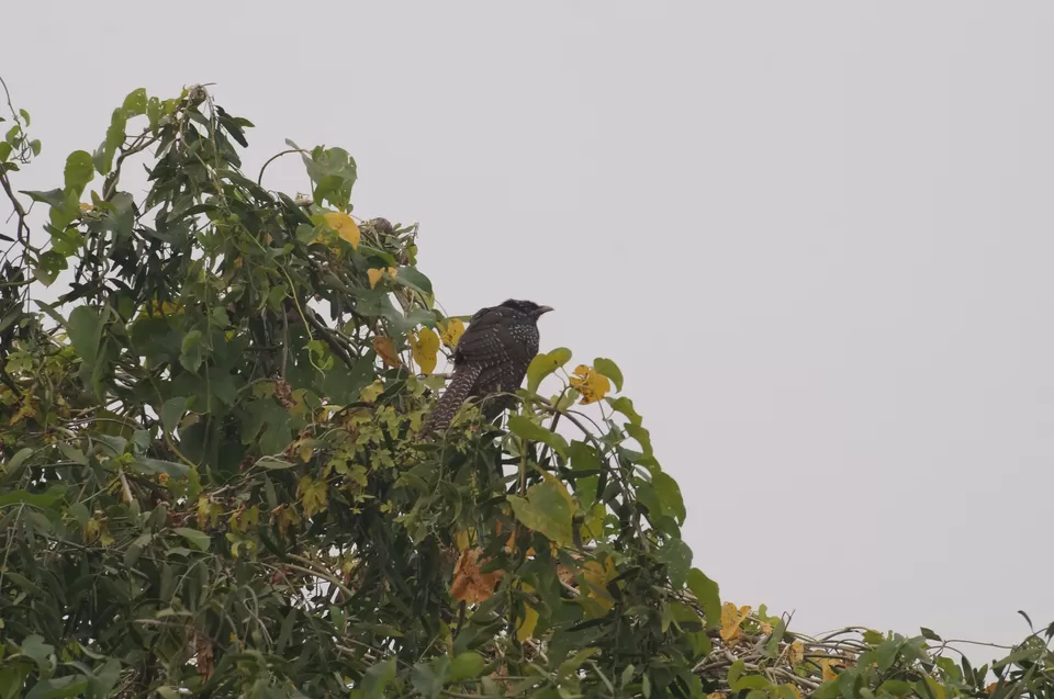 Photo of Bharatpur, Rajasthan, India by Apoorv & Smita