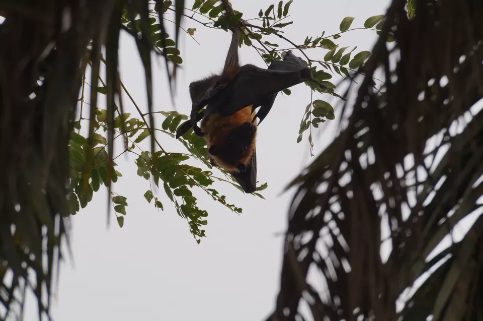 Photo of Bharatpur, Rajasthan, India by Apoorv & Smita