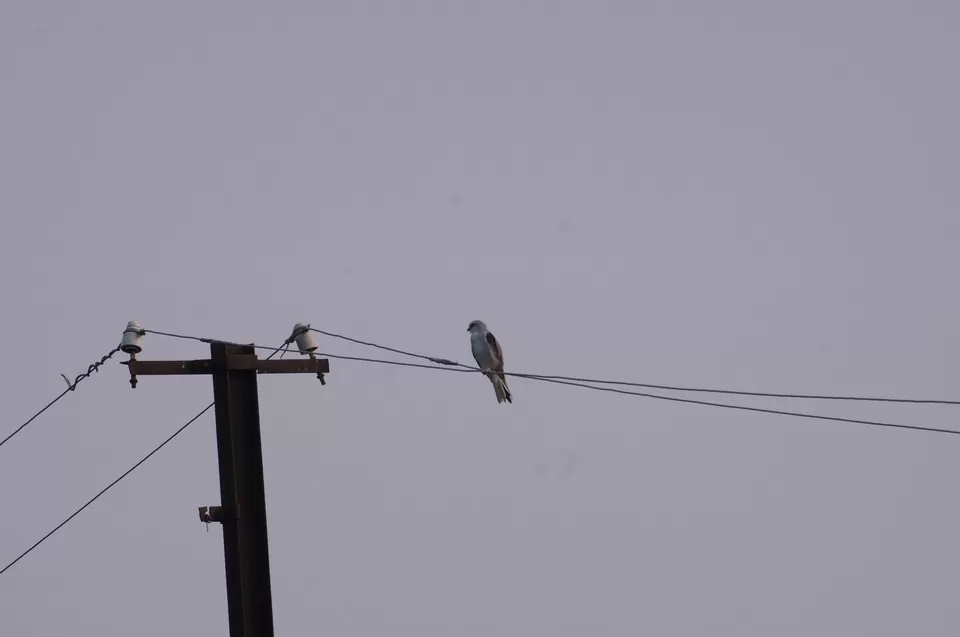 Photo of Bharatpur, Rajasthan, India by Apoorv & Smita