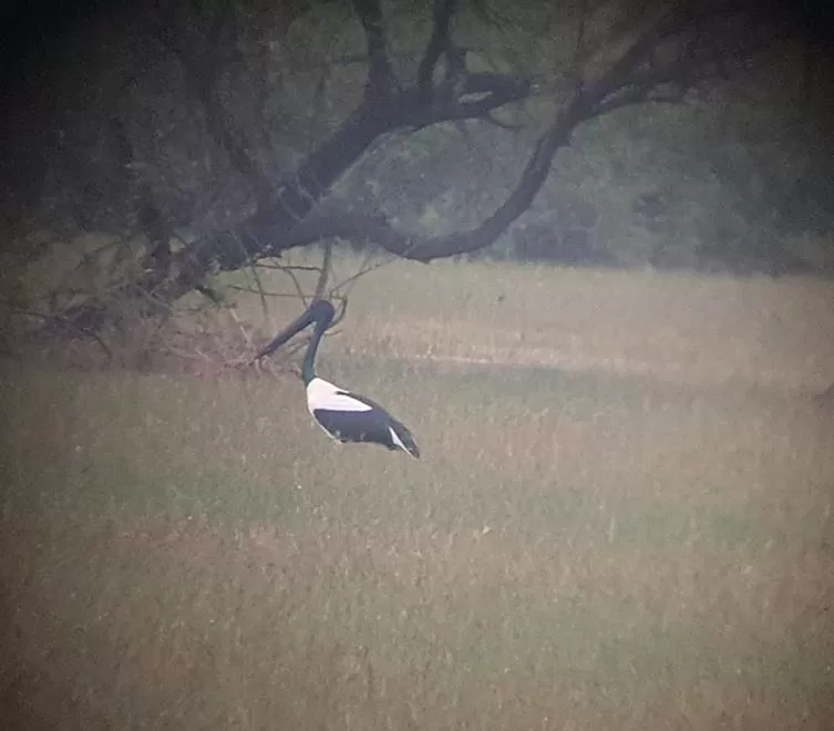 Photo of Bharatpur, Rajasthan, India by Apoorv & Smita