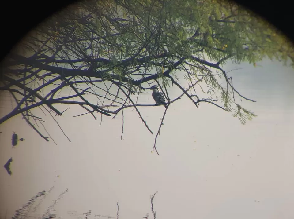 Photo of Bharatpur, Rajasthan, India by Apoorv & Smita