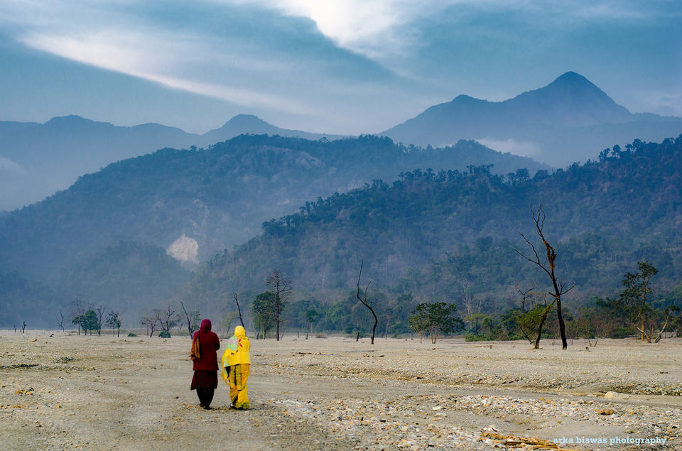 Photo of There's no time to be bored in a world as celestial as this - North Bengal by Gargi Chakraborty