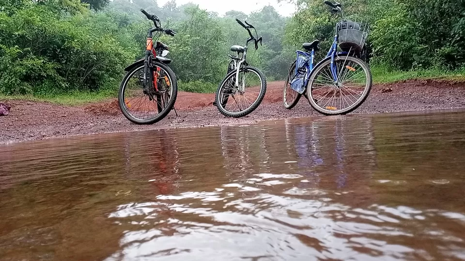 Photo of Early morning Cycle Ride on Goa by Sachin Manzi