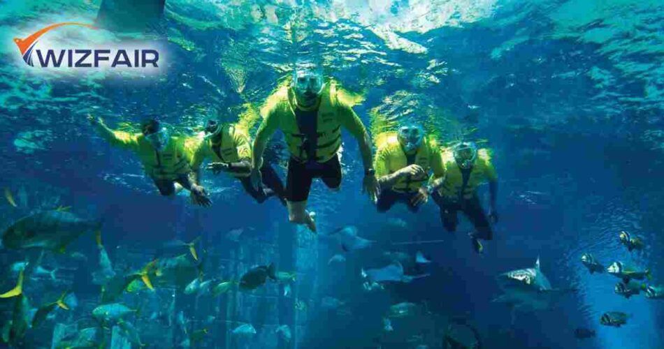Photo of Top 3 Places For Snorkeling In Dubai 1/1 by Henry Wilson