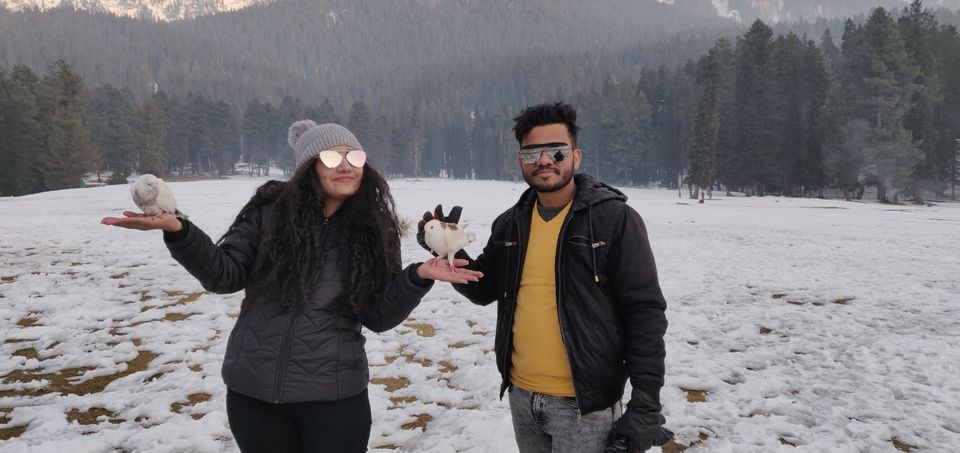 Photo of Pahalgam by Curl_Saga