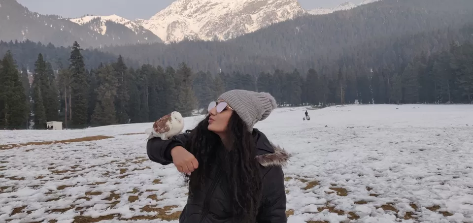 Photo of Pahalgam by Curl_Saga