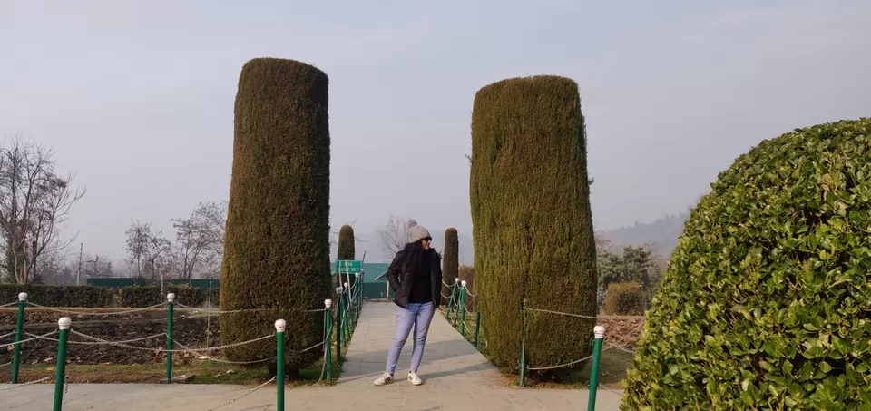 Photo of Shalimar Bagh Mughal Garden by Curl_Saga