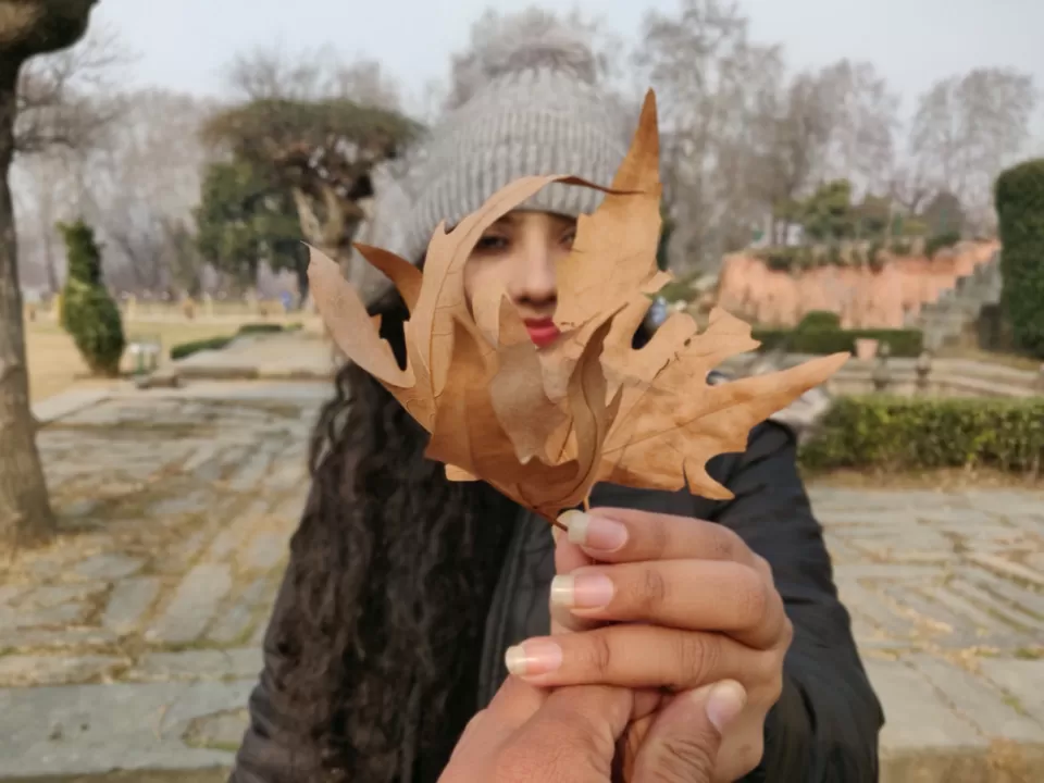 Photo of Chashma Shahi Garden by Curl_Saga