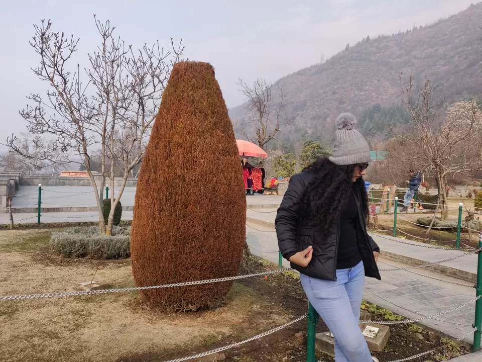 Photo of Jamia Masjid Srinagar by Curl_Saga