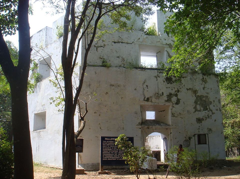 Photo of 8 Glorious Forts You Should Visit on Your Trip to Kerala 8/8 by Urtripadvisor