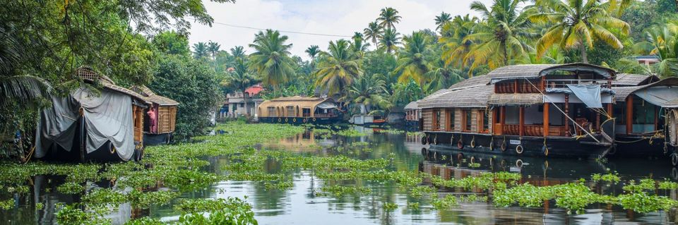 Photo of 8 Exciting Things to Do for Couples Honeymooning in Kerala 2/8 by Urtripadvisor