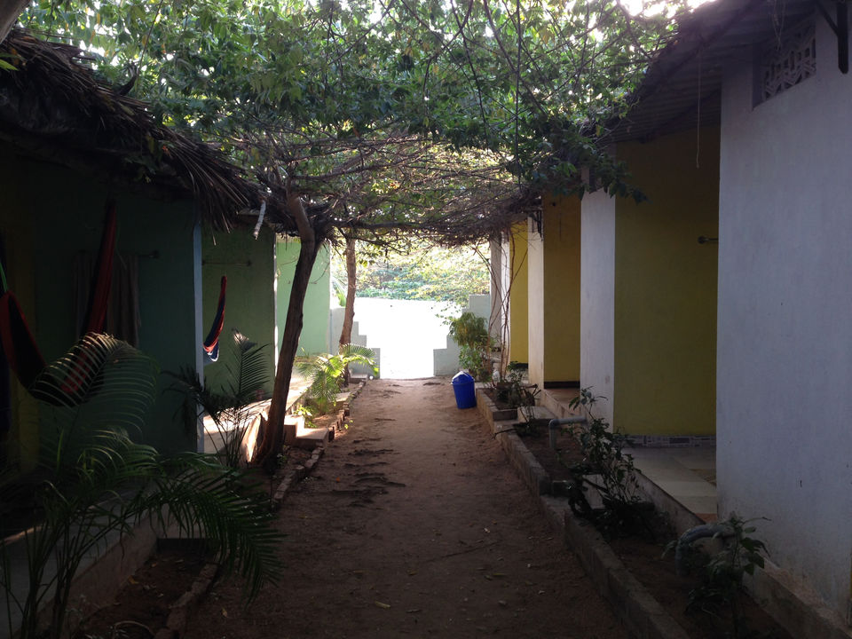 Photo of Don't worry be hampi by Narayanan Jayaraman