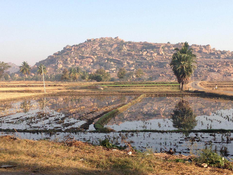 Photo of Don't worry be hampi by Narayanan Jayaraman