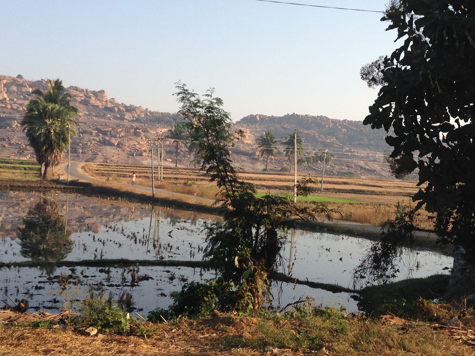 Photo of Don't worry be hampi by Narayanan Jayaraman