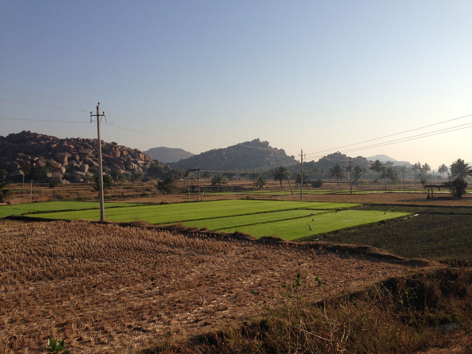 Photo of Don't worry be hampi by Narayanan Jayaraman