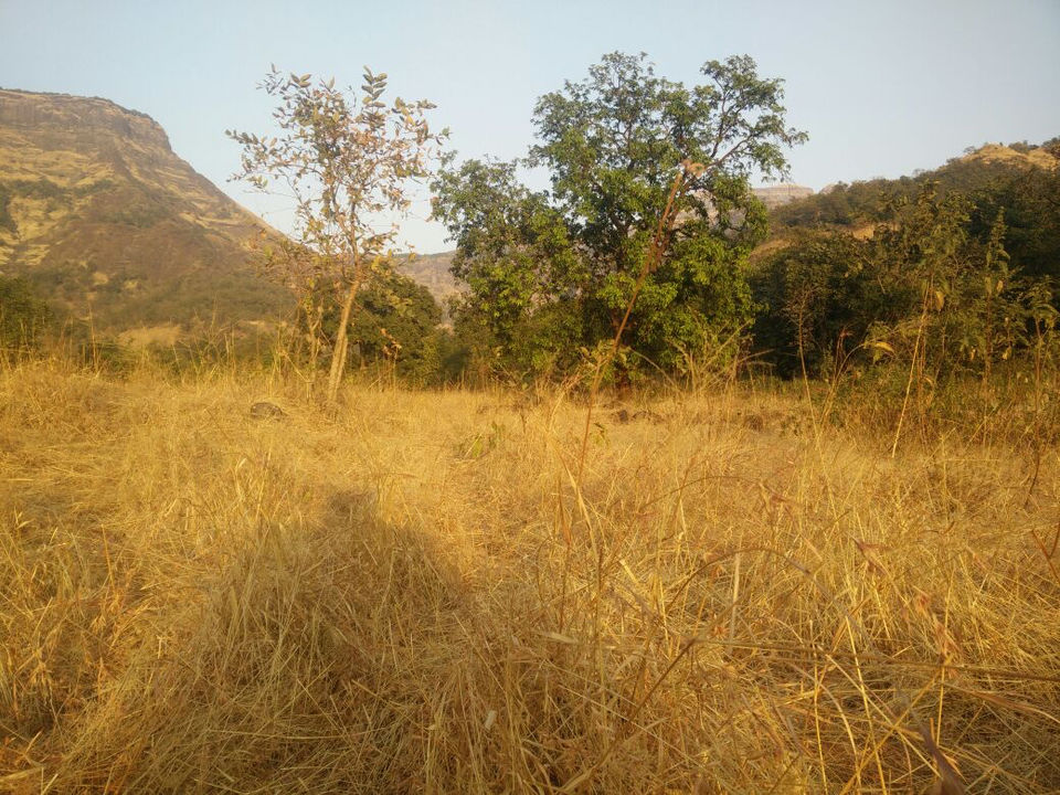 Photo of New Year Trek To Sandhan valley by Narayanan Jayaraman