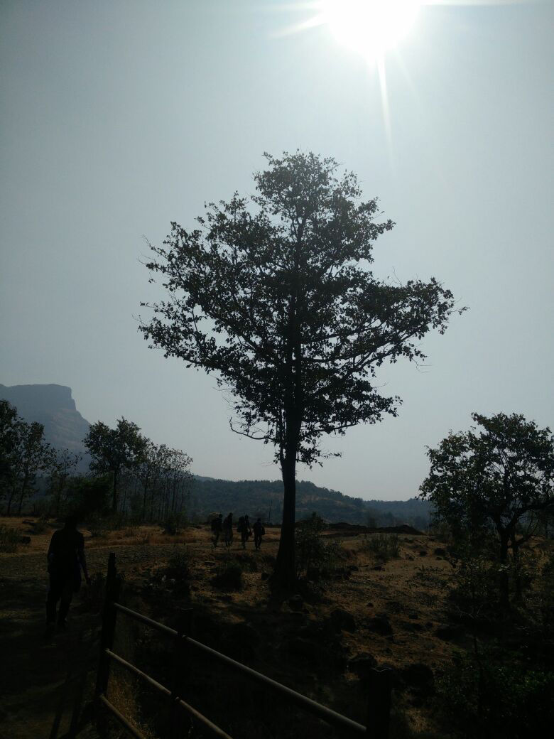 Photo of New Year Trek To Sandhan valley by Narayanan Jayaraman