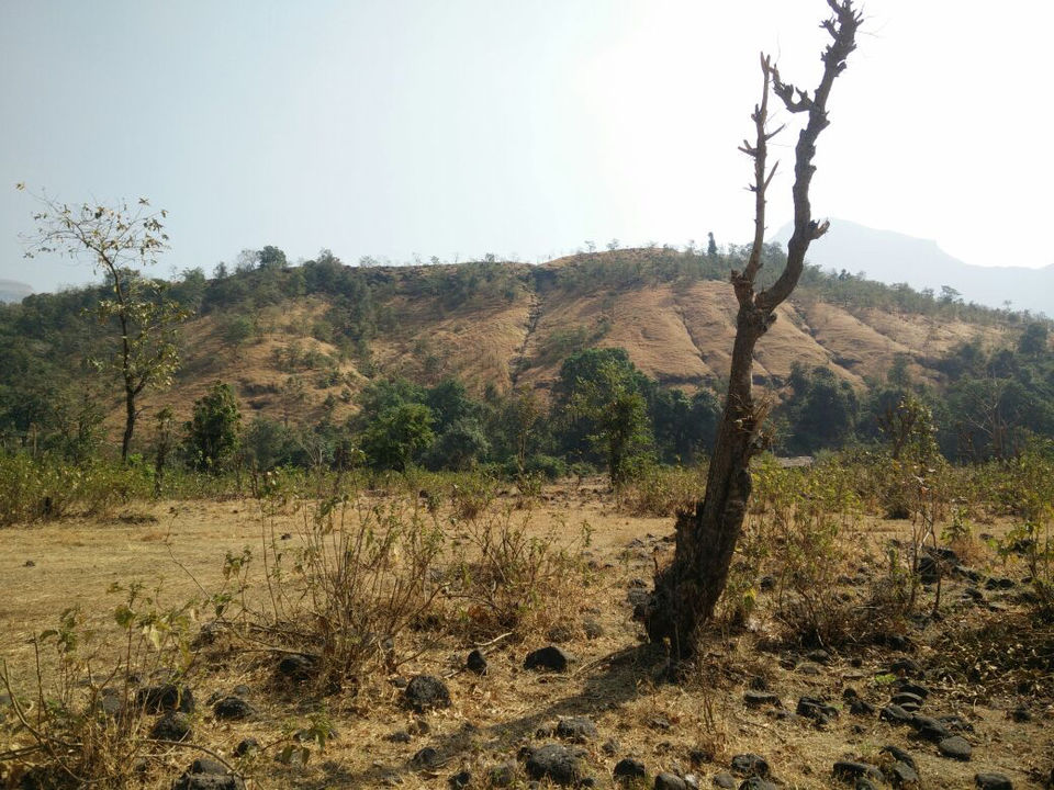 Photo of New Year Trek To Sandhan valley by Narayanan Jayaraman