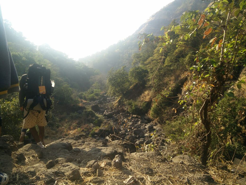 Photo of New Year Trek To Sandhan valley by Narayanan Jayaraman