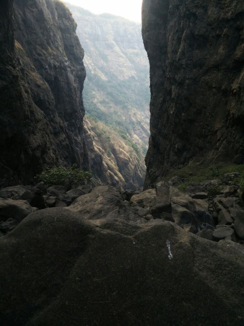 Photo of New Year Trek To Sandhan valley by Narayanan Jayaraman