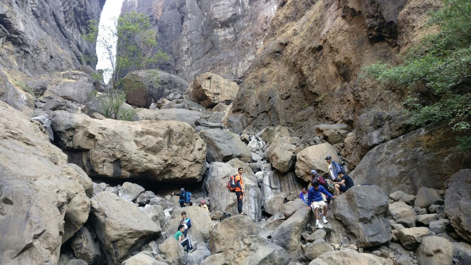 Photo of New Year Trek To Sandhan valley by Narayanan Jayaraman