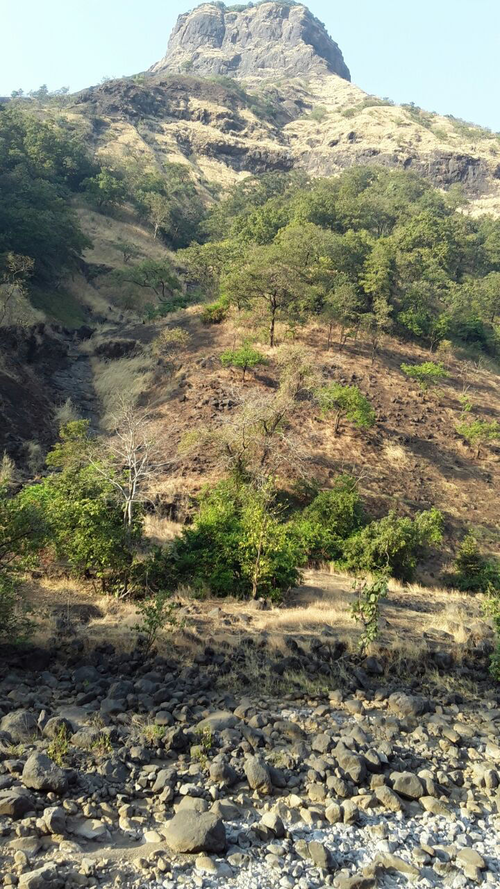 Photo of New Year Trek To Sandhan valley by Narayanan Jayaraman