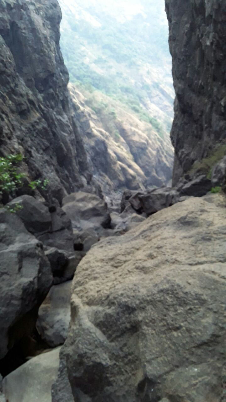 Photo of New Year Trek To Sandhan valley by Narayanan Jayaraman
