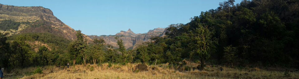 Photo of New Year Trek To Sandhan valley by Narayanan Jayaraman