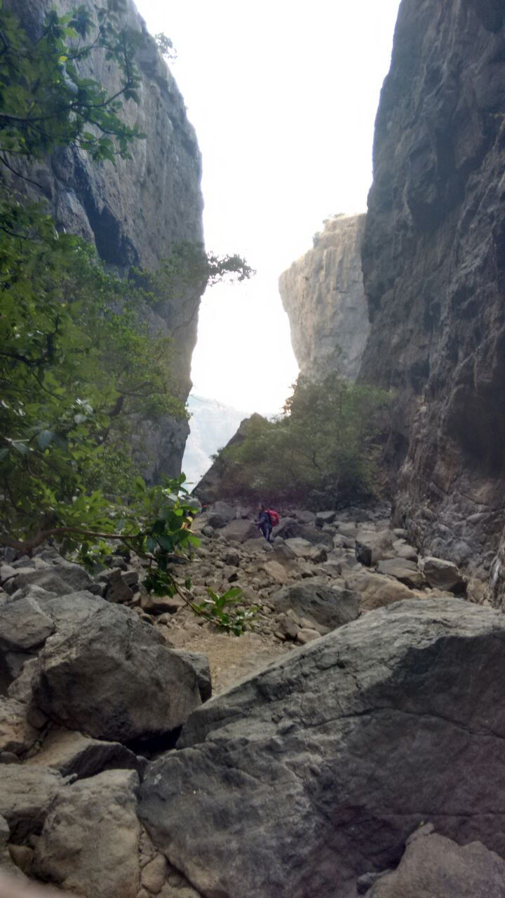 Photo of New Year Trek To Sandhan valley by Narayanan Jayaraman