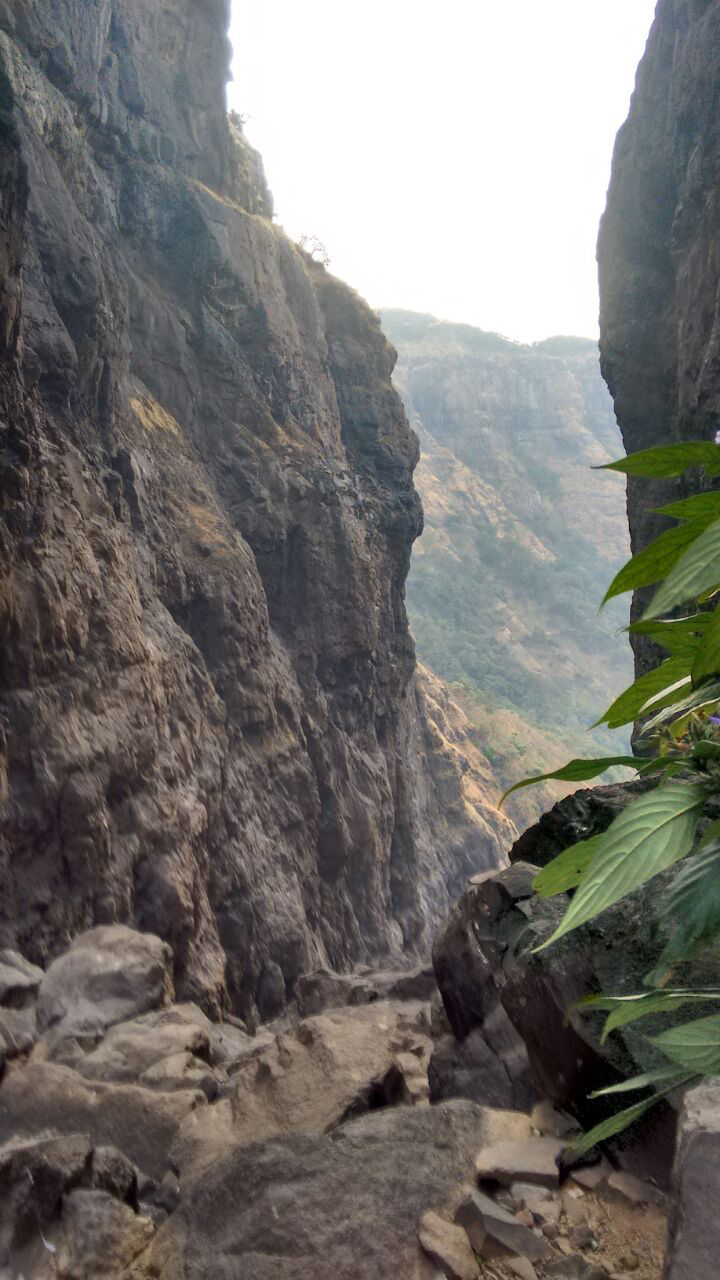 Photo of New Year Trek To Sandhan valley by Narayanan Jayaraman