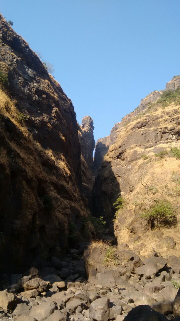 Photo of New Year Trek To Sandhan valley by Narayanan Jayaraman