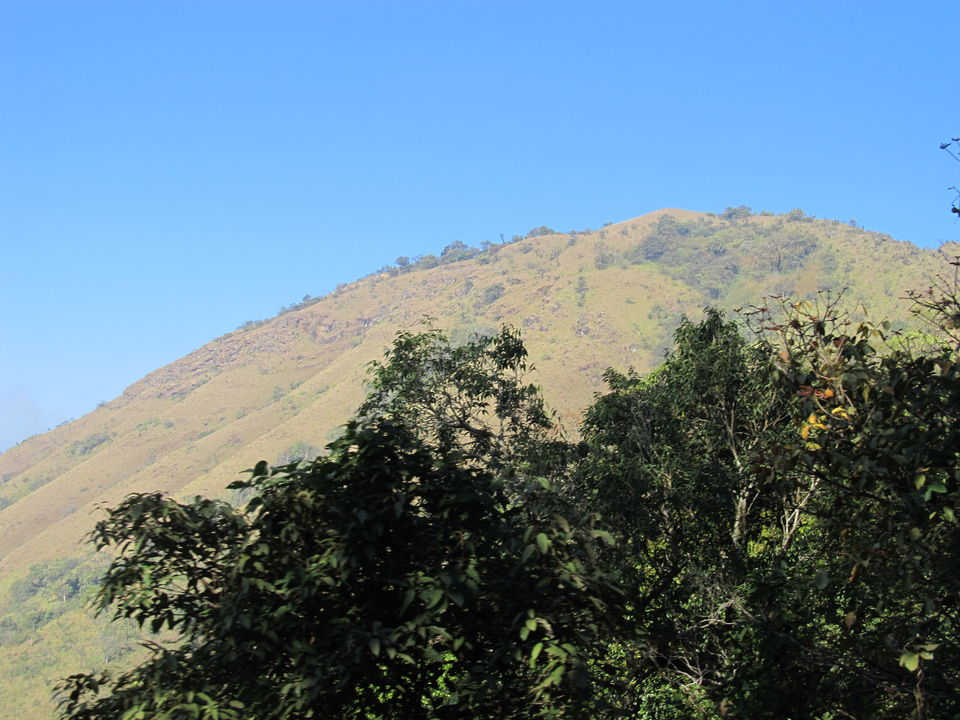 Photo of Chikmagalur Chills by Simha