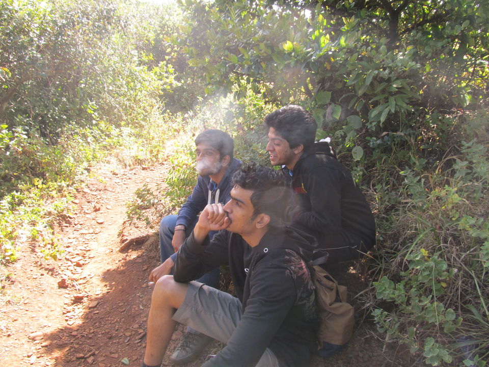 Photo of Chikmagalur Chills by Simha