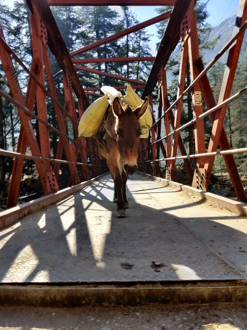 Photo of Trip to Parvati Valley by Kalpana jain