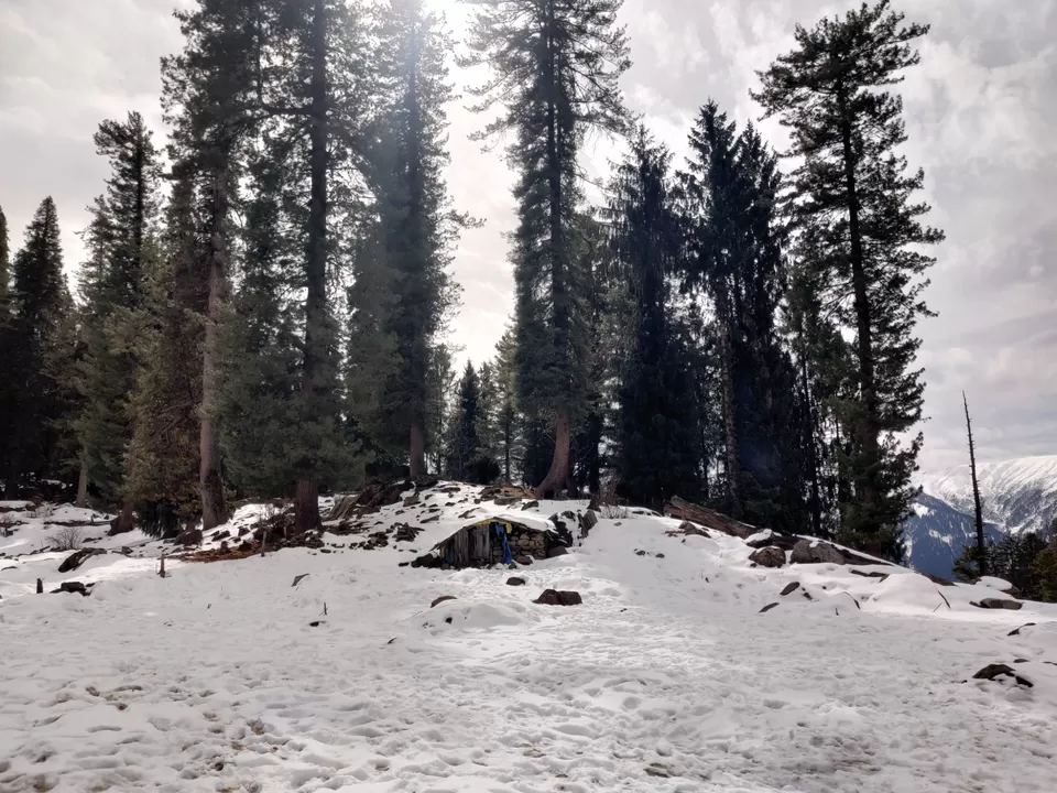 Photo of Trip to Parvati Valley by Kalpana jain