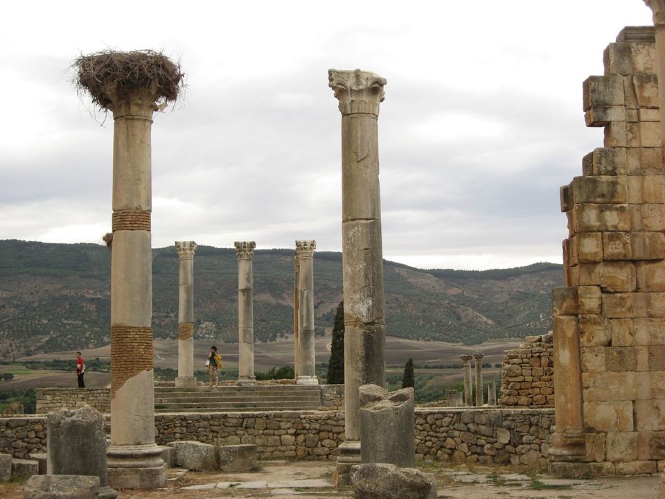 Photo of Volubilis, Meknes-El Menzeh, Meknes-Tafilalet, Morocco by Nikki Pitts