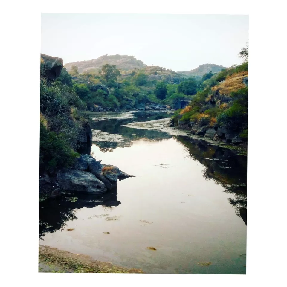 Photo of Mount Abu- tranquility of green hills. by Radhika Bisani