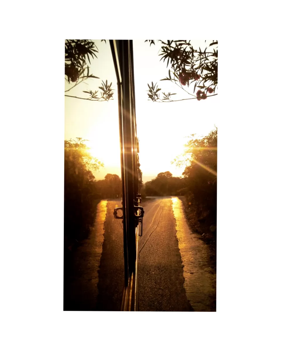 Photo of Mount Abu- tranquility of green hills. by Radhika Bisani