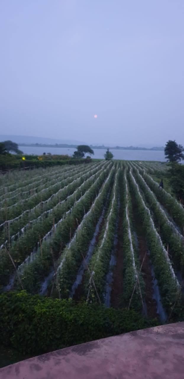 Photo of LAUGH A LITTLE WINE A LOT #wine #vineyards #luxury #resorts #tripoto by Radhika Bisani