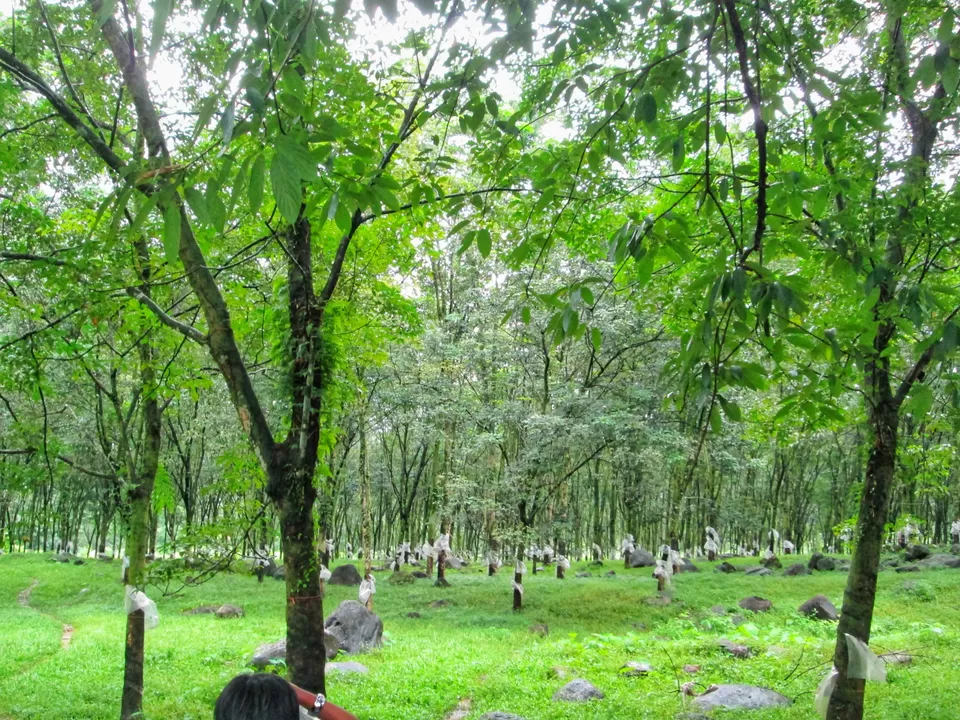 Photo of Last village of West Bengal to Bhutan by Sangita Ghatak