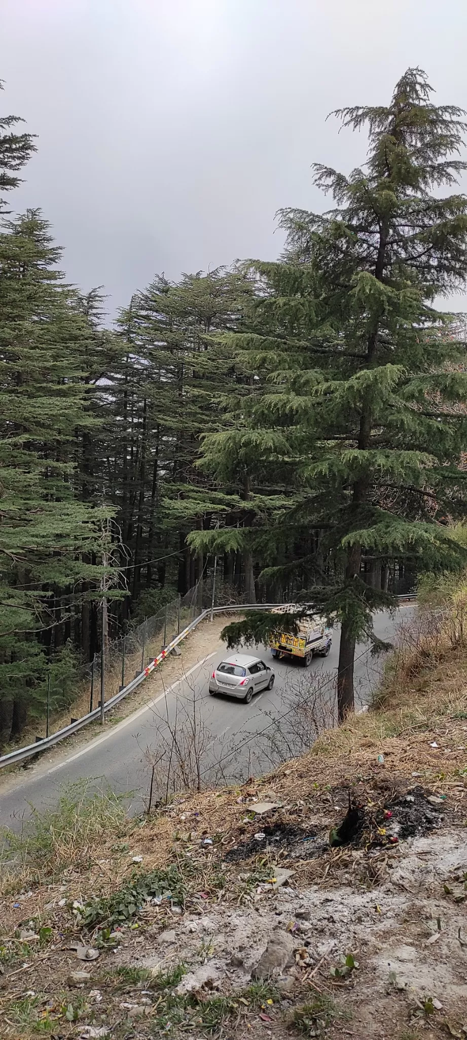 Photo of A trip to shimla by Debashis Sarmah