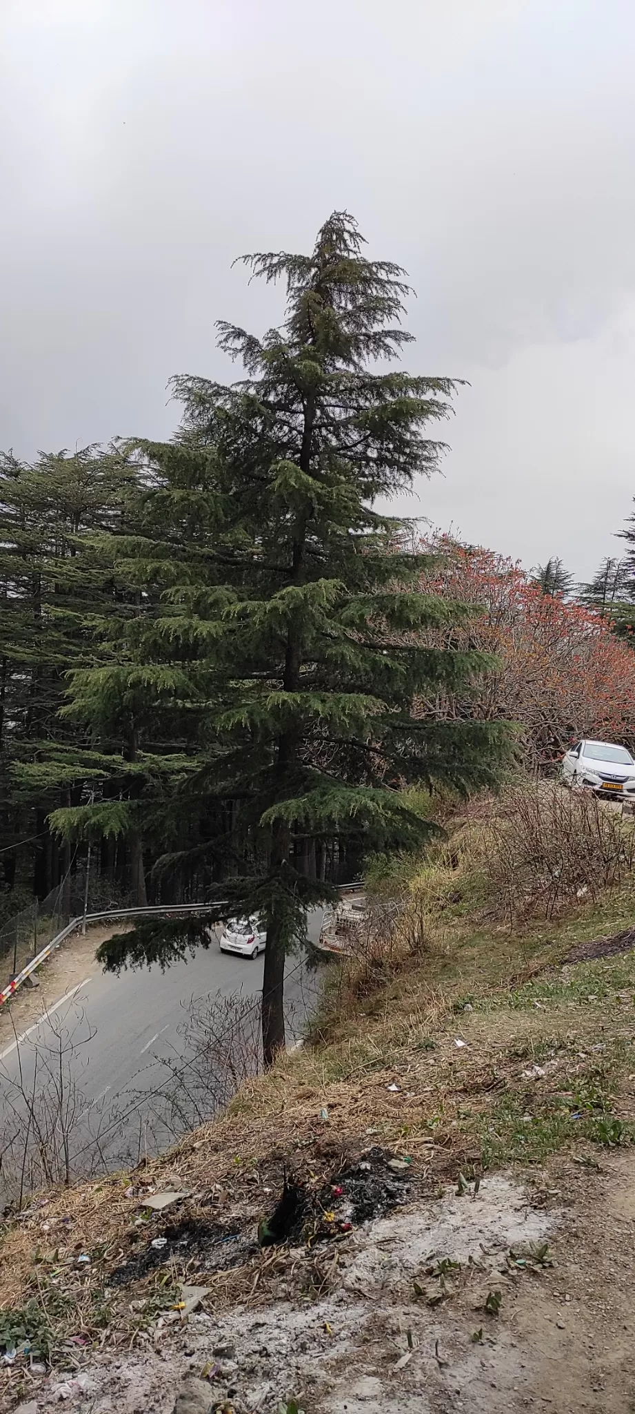 Photo of A trip to shimla by Debashis Sarmah