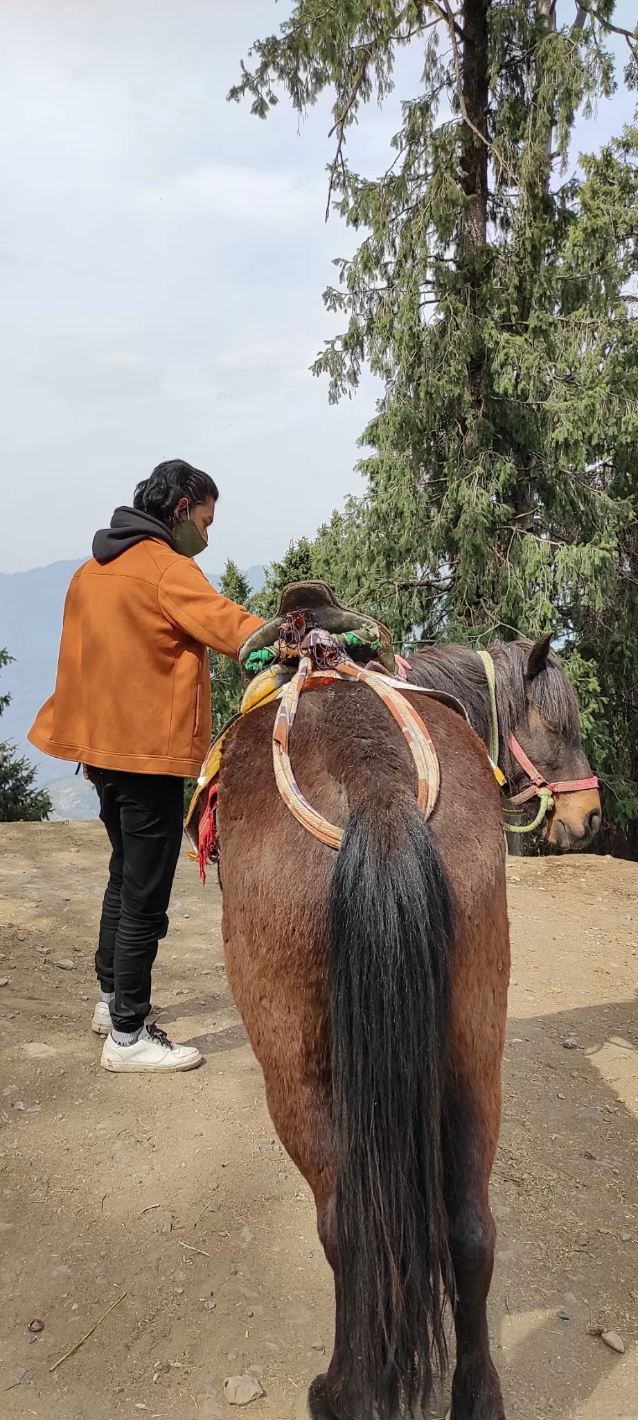 Photo of A trip to shimla by Debashis Sarmah