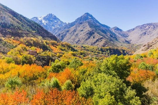 Photo of imlil Atlas Mountains by Marrakesh Day Tours