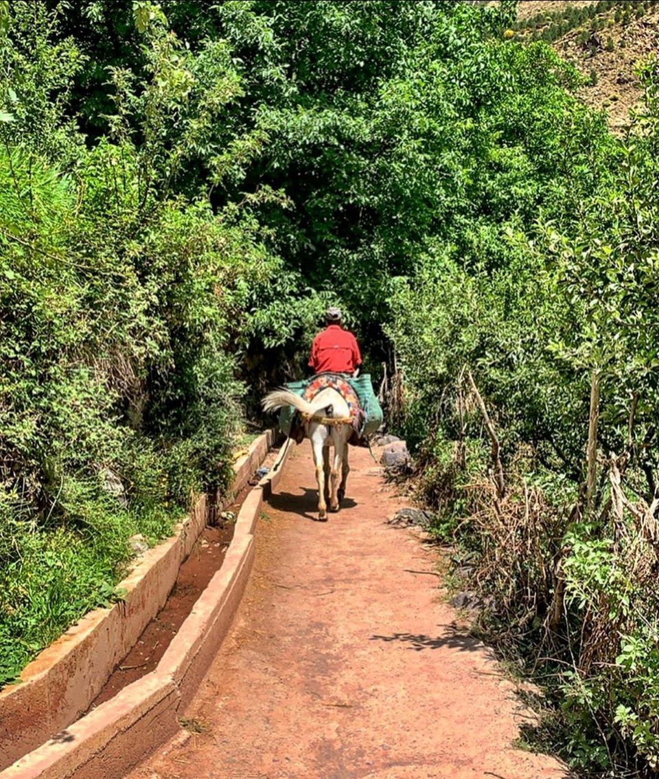 Photo of imlil Atlas Mountains by Marrakesh Day Tours