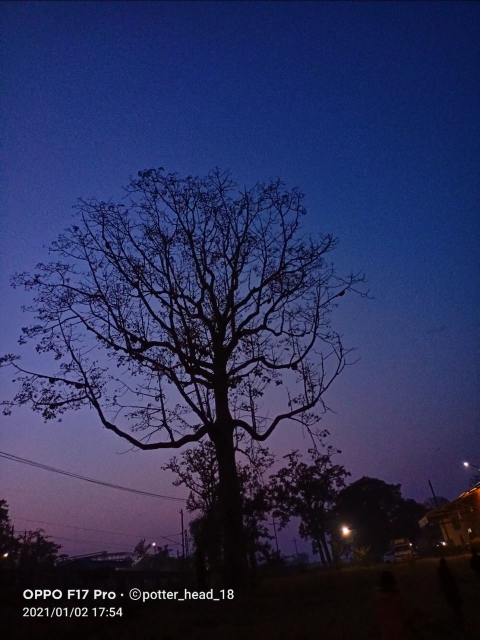 Photo of Khodri by P Murli Mohan Rao