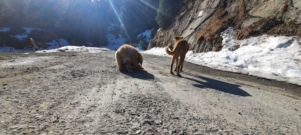 Photo of 4 DAY TRIP TO CHAMBA, HIMACHAL . by Rahul Sondhi