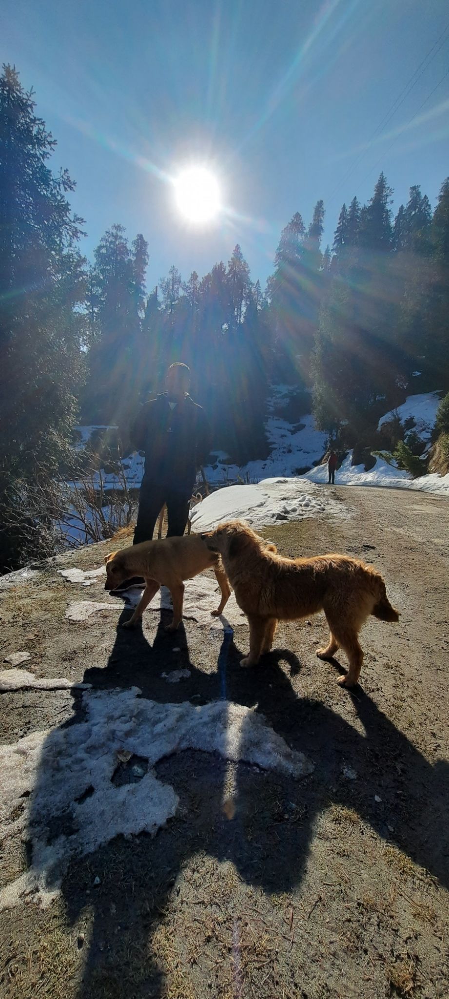 Photo of 4 DAY TRIP TO CHAMBA, HIMACHAL . by Rahul Sondhi