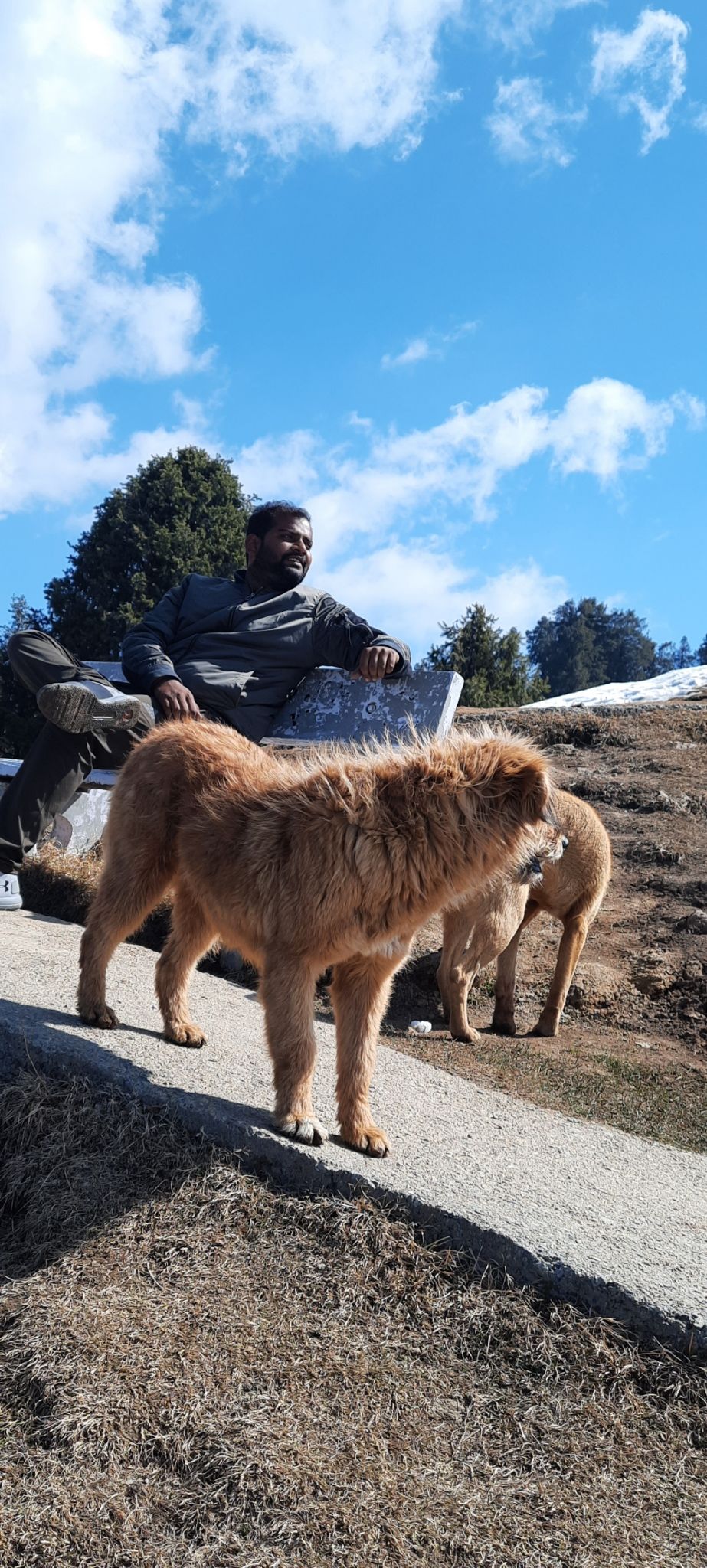 Photo of 4 DAY TRIP TO CHAMBA, HIMACHAL . by Rahul Sondhi
