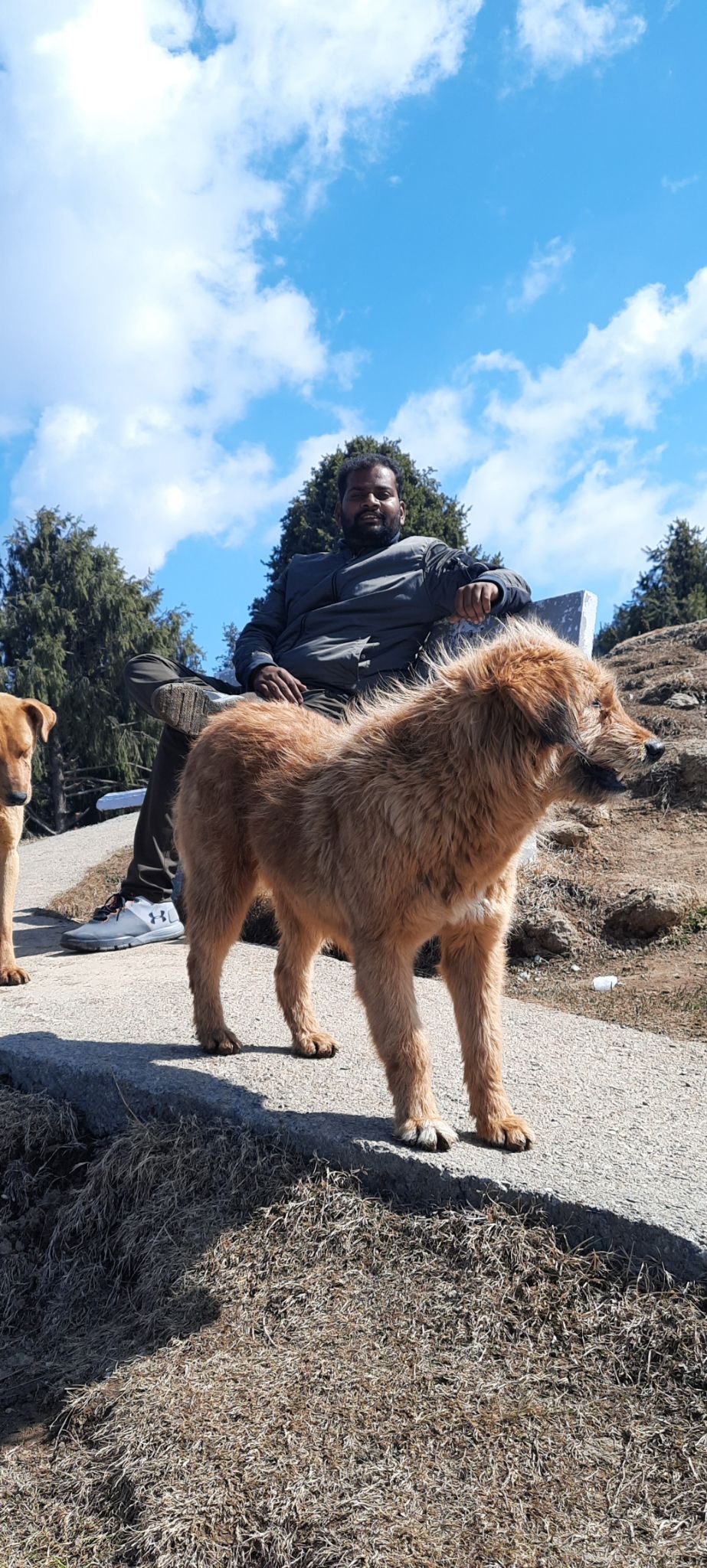 Photo of 4 DAY TRIP TO CHAMBA, HIMACHAL . by Rahul Sondhi